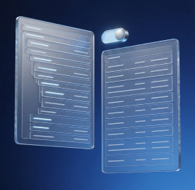 Два вида отображения документа